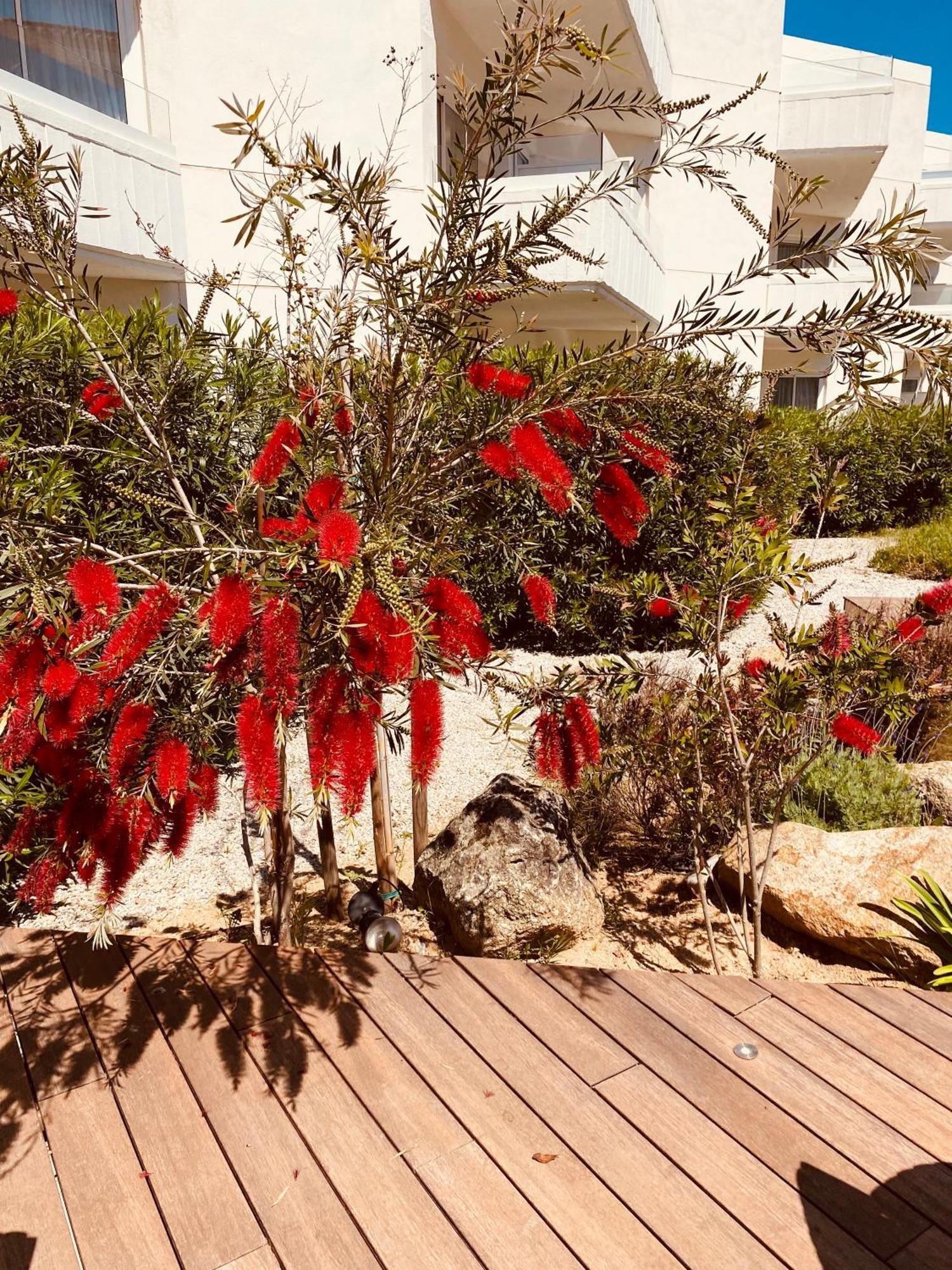 Calvi Hotel المظهر الخارجي الصورة