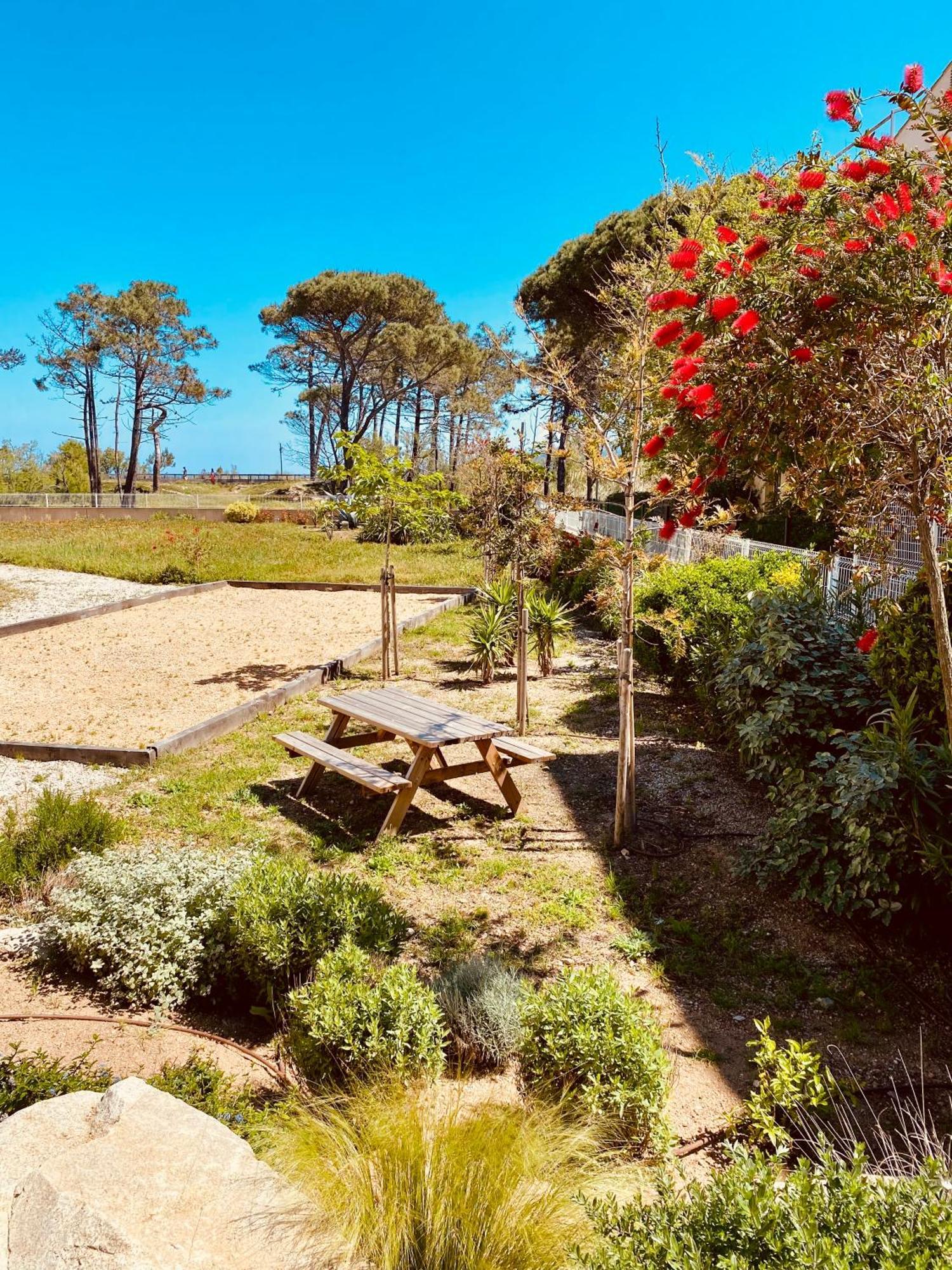 Calvi Hotel المظهر الخارجي الصورة