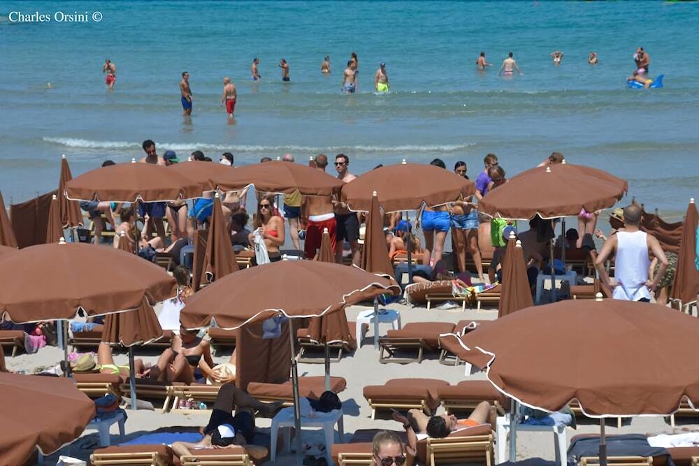 Calvi Hotel المظهر الخارجي الصورة
